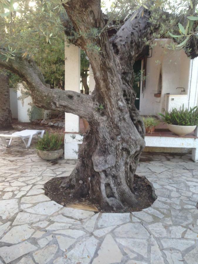 Oasis Βίλα Riumar Εξωτερικό φωτογραφία